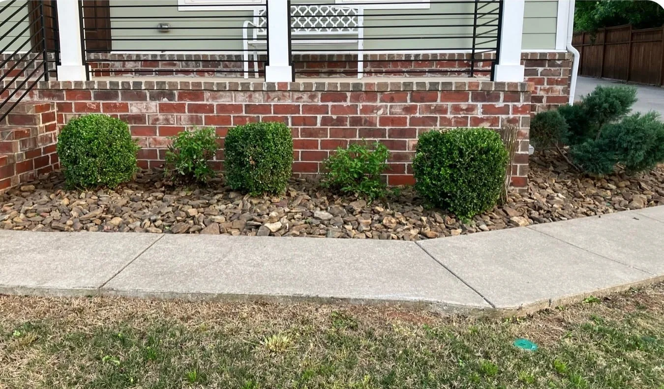 The same front bed after: shrubs pruned, weeds cleared and the edge cleaned up