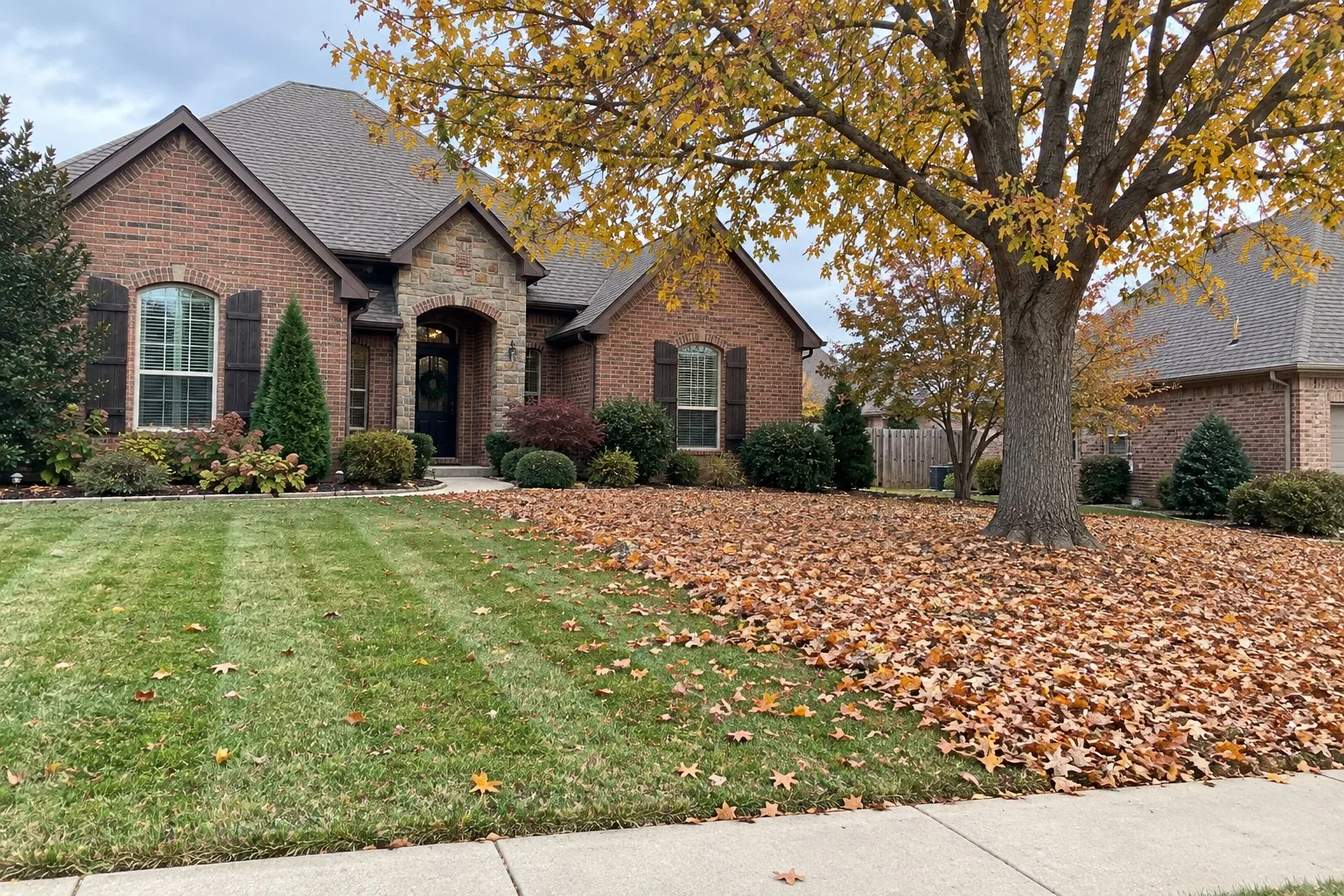 Illustrative image of a front lawn half cleared of fall leaves, with thick leaves still covering the rest